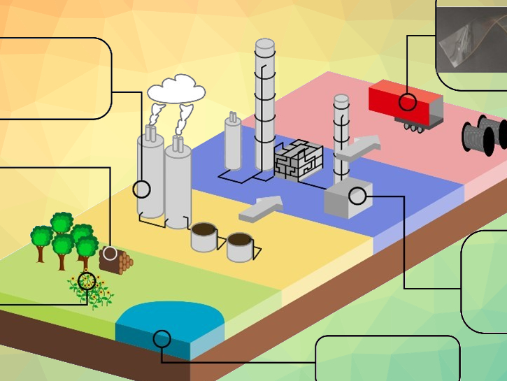 Sustainable Plasticizers from Renewable Feedstocks