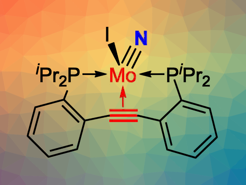 Molybdenum‐Mediated N2‐Splitting