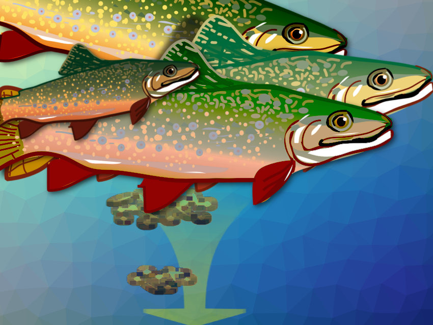 Plenty More Fish in the Sea? - ChemistryViews