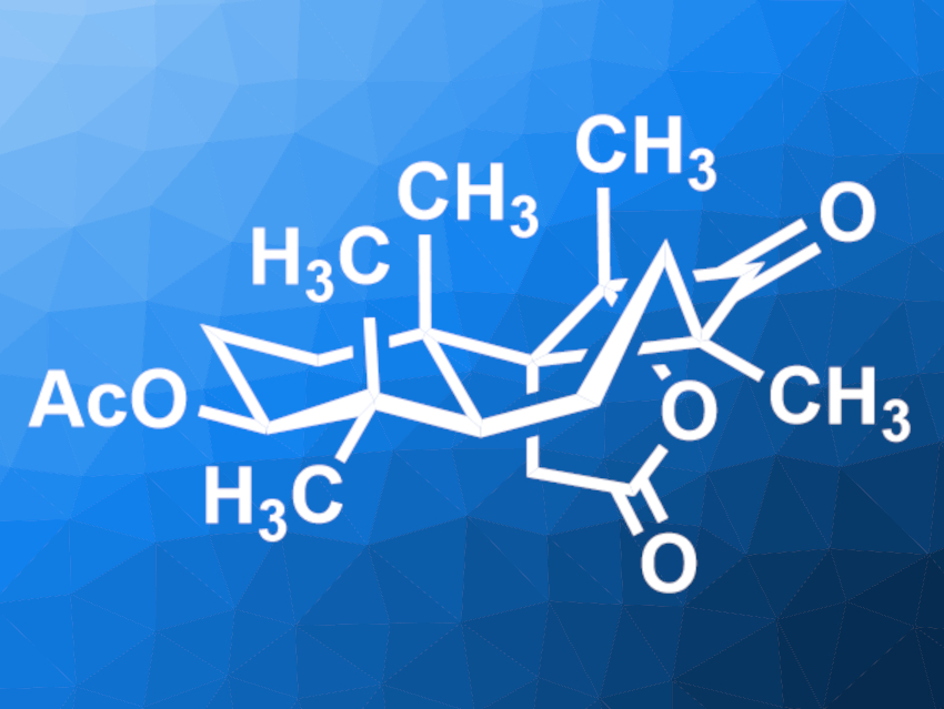 Total Synthesis of (+)-Cyclobutastellettolide B