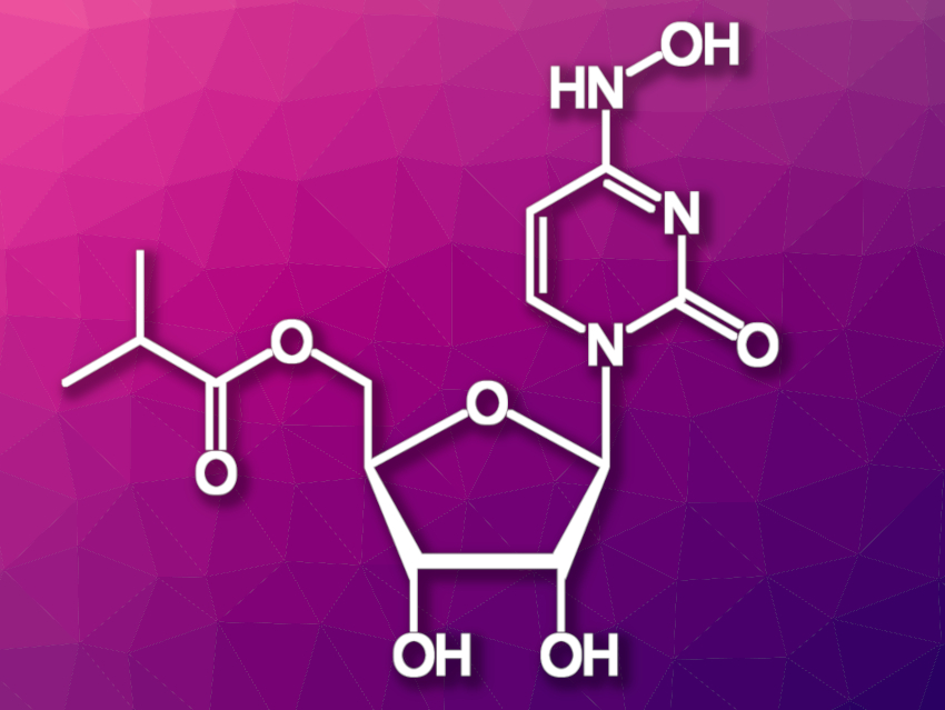 Concise Synthesis of Molnupiravir