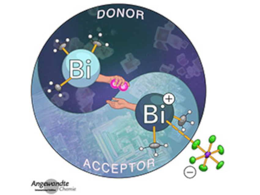 Angewandte Chemie 46/2021: Chemistry on Any Scale