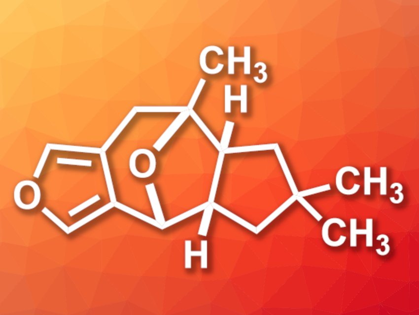 Total Synthesis of (±)-Furanether A