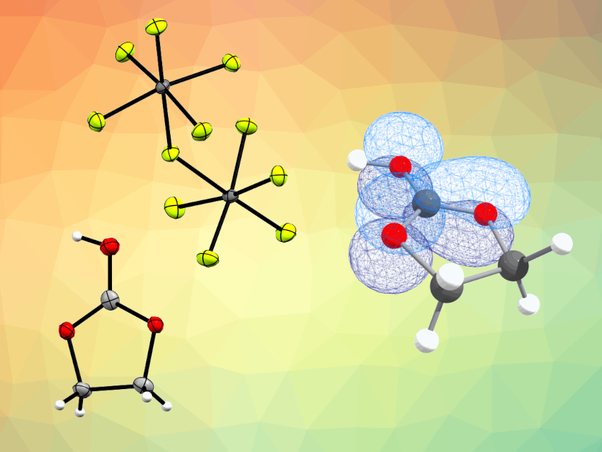 Protonated Species of Ethylene Carbonate