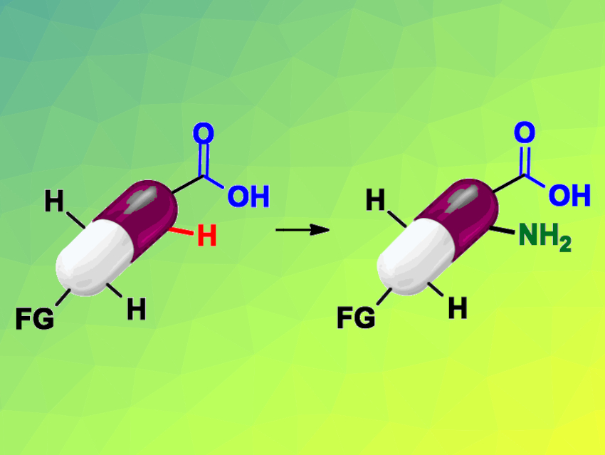 Late-Stage Amination of Drug-Like Benzoic Acids