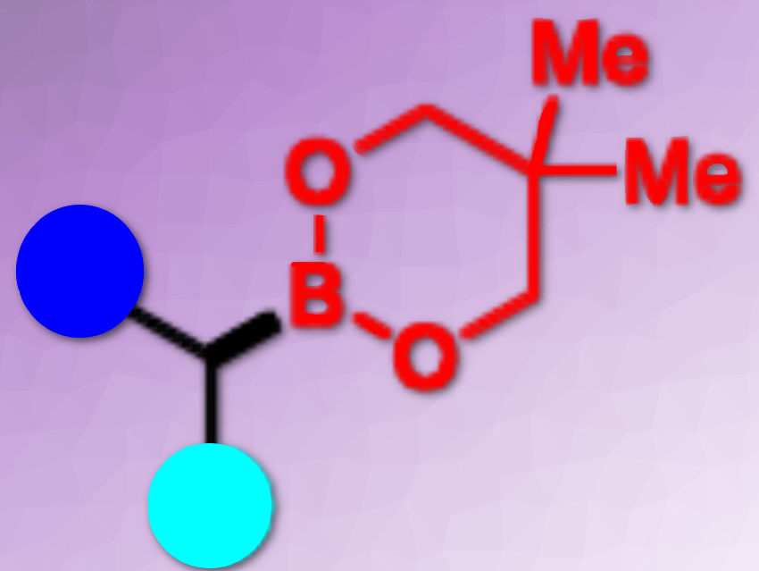 Base-Mediated Radical Borylation of Alkyl Sulfones