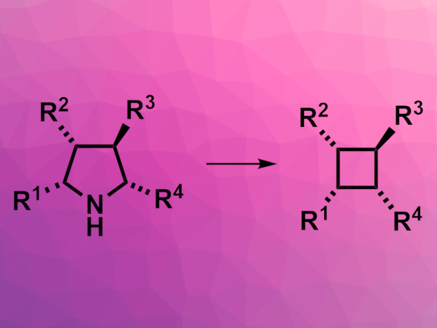 Synthesis of Cyclobutanes via Ring Contraction