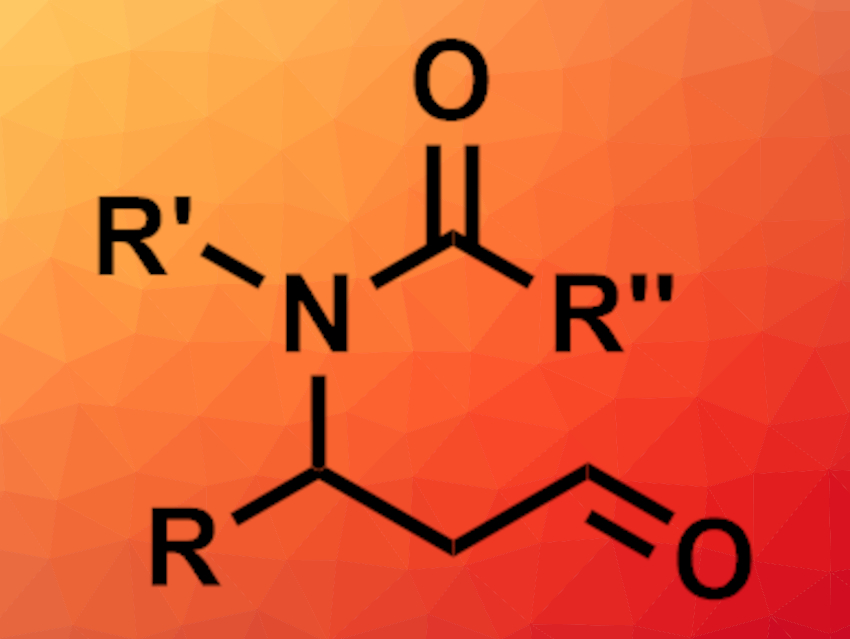 Linear Allylic Esters Transformed into β-Amino Aldehydes
