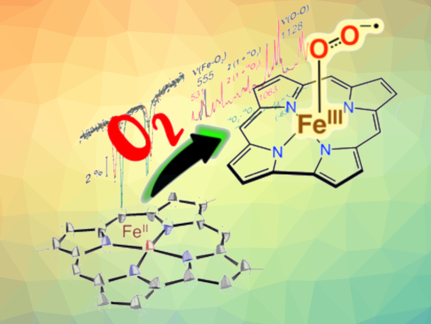 Biomimetic Iron(III) Superoxide Corrole