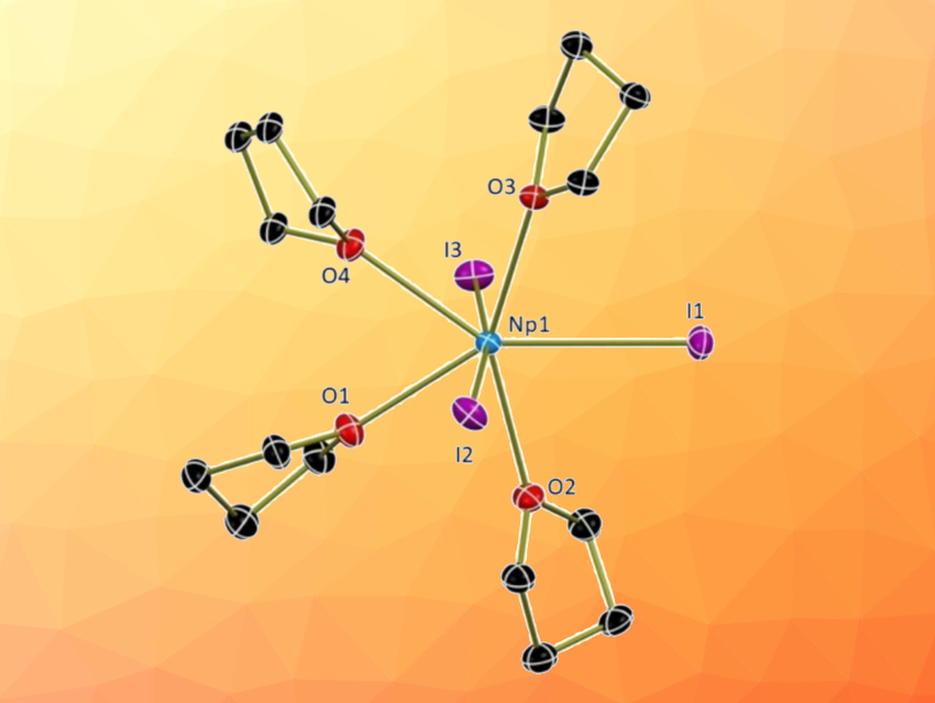 Non-Aqueous Neptunium(III) Halide Solvates