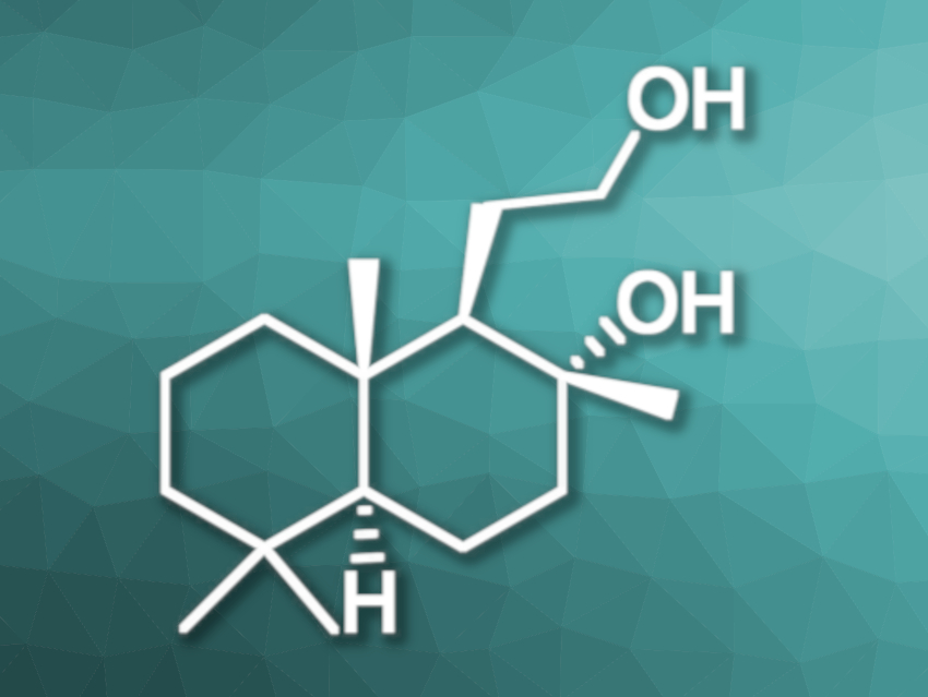 Manganese-Catalyzed Hydrogenation of Sclareolide