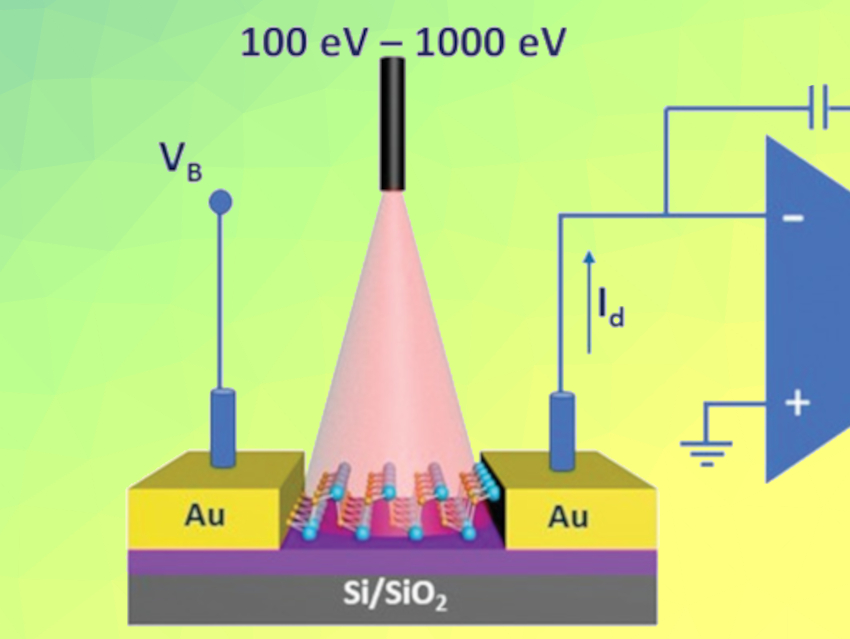 Highly Sensitive Ultrathin X-Ray Detectors