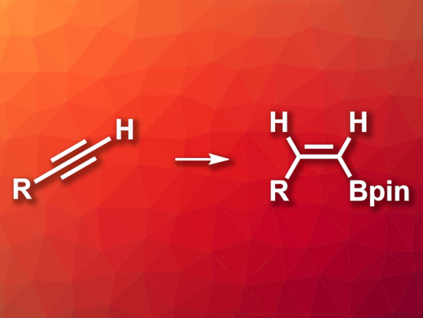 (Z)-Selective Hydroboration of Terminal Alkynes