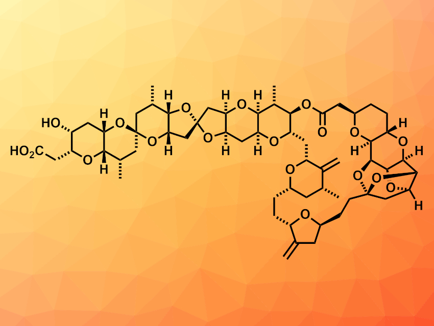 Convergent Total Synthesis of Norhalichondrin B