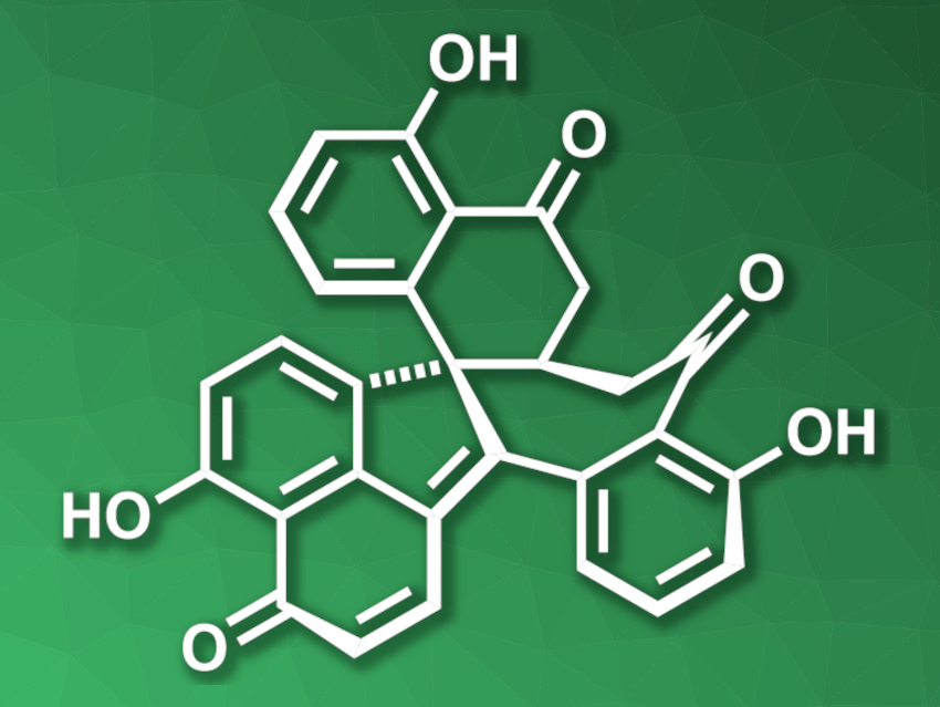 Concise Total Synthesis of Dalesconol A