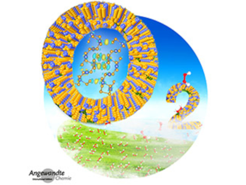 Angewandte Chemie 52/2021: High Potential