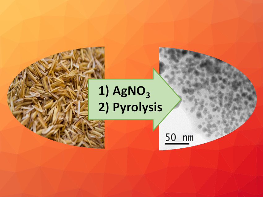 Antimicrobial Materials Made from Agricultural Waste