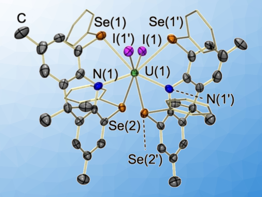 Uranium(IV) Thio- and Selenoethers