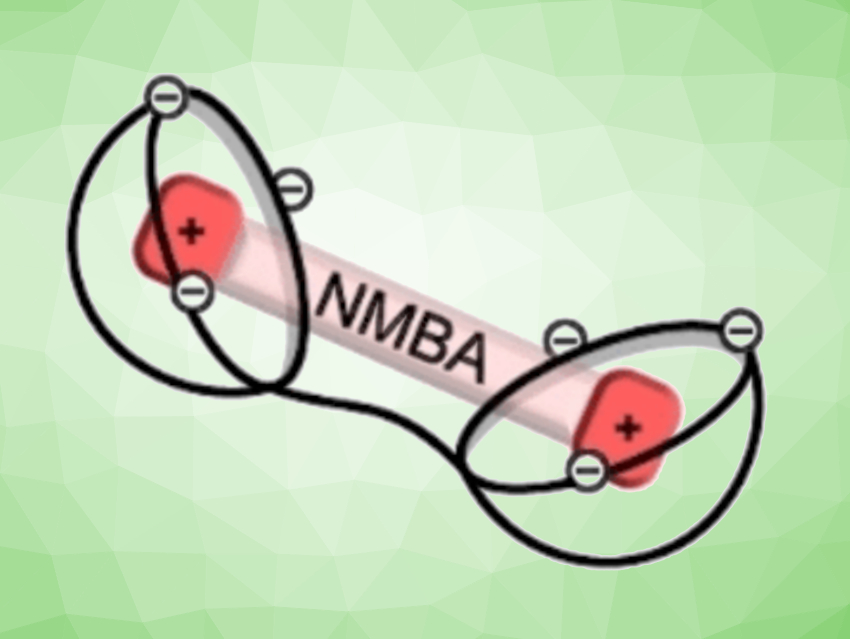 Double Calixarenes Bind Neuromuscular Blockers