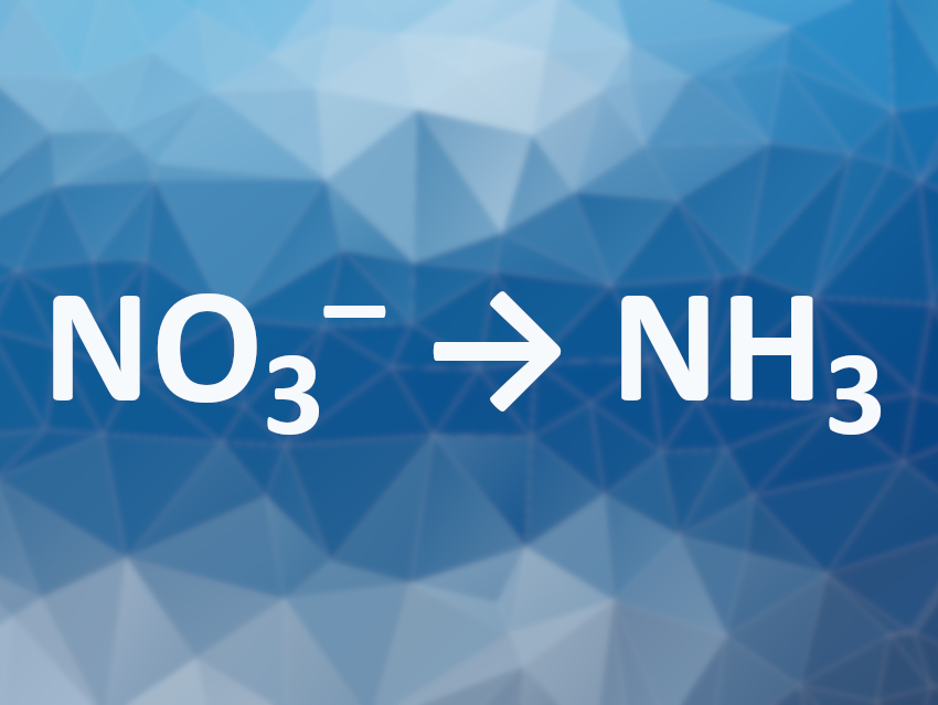 Electrocatalytic Nitrate Reduction to Give Ammonia