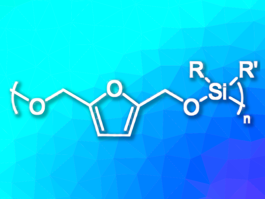 Degradable Polymers from Renewable Resources