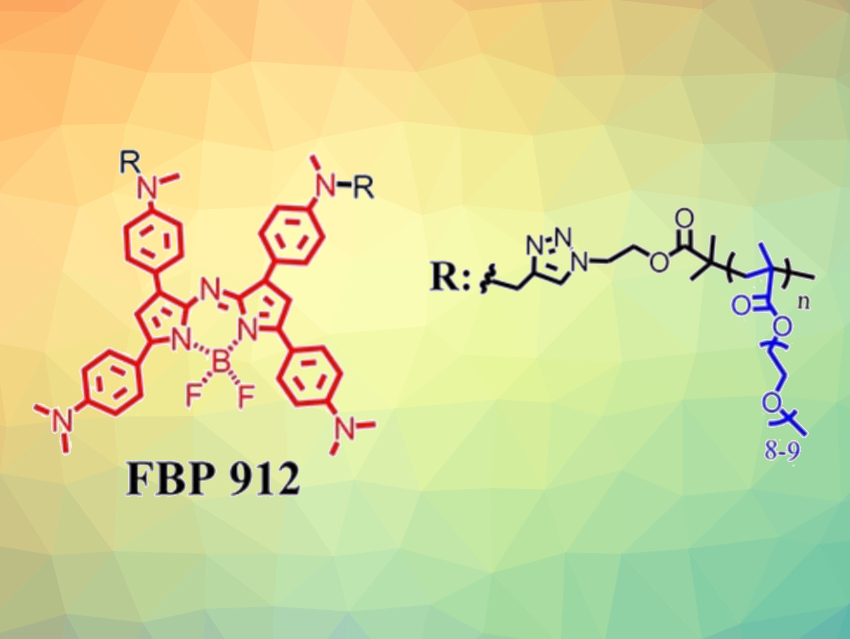 Macromolecular Probes for the Diagnosis of Kidney Disease