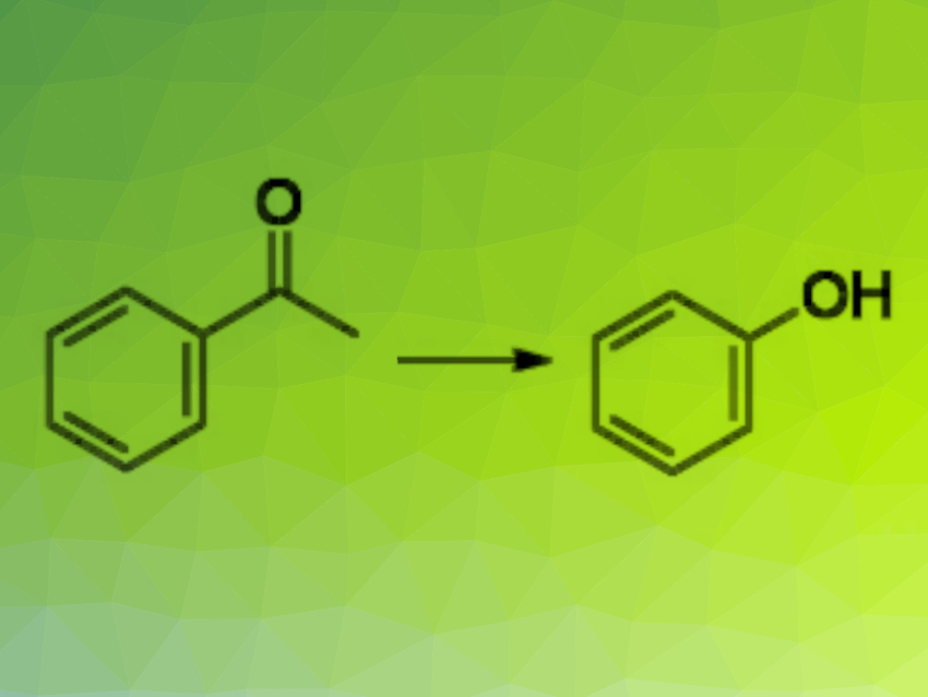 Aerobic C–C Bond Cleavage Catalyzed by Fungus