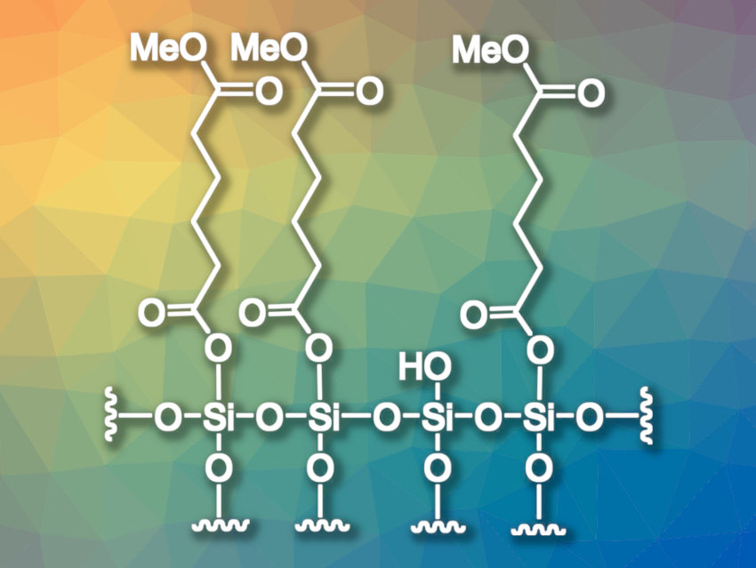 Silica‐Mediated Monohydrolysis of Dicarboxylic Esters