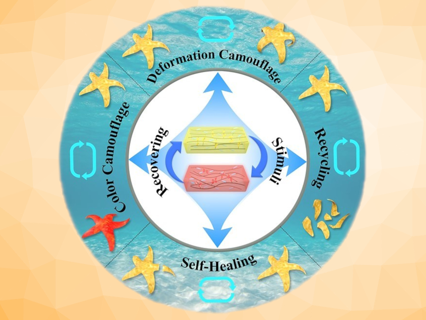 Multifunctional Biomimetic Soft Actuators