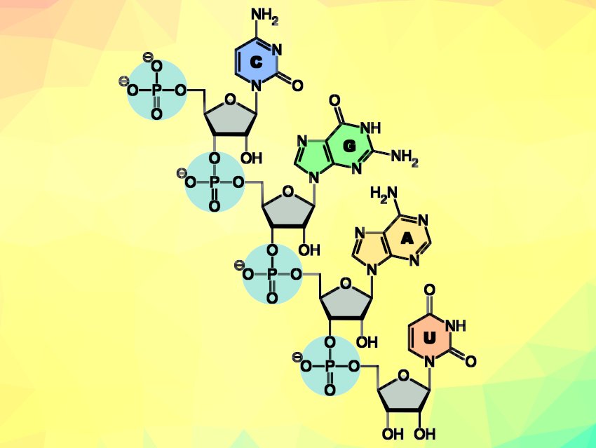 Purified RNA at the Flick of a (DNA) Switch