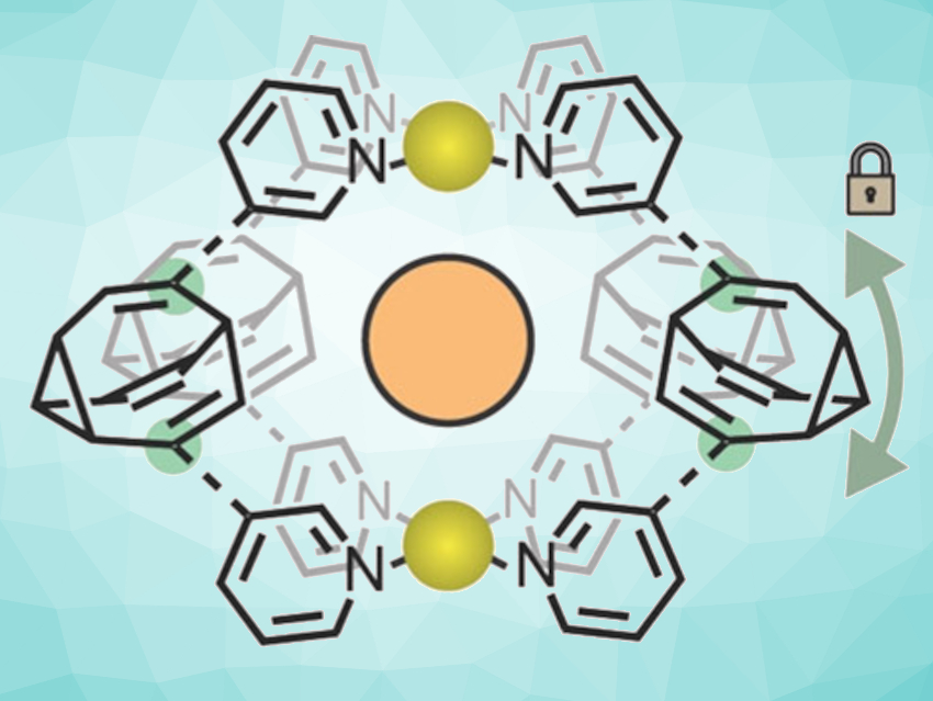 Taming a Shape-Shifter Molecule