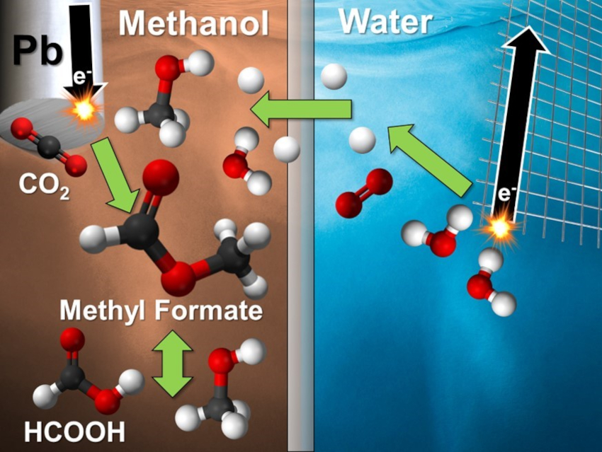 Pb-Catalyzed CO2 Reduction to Methyl Formate