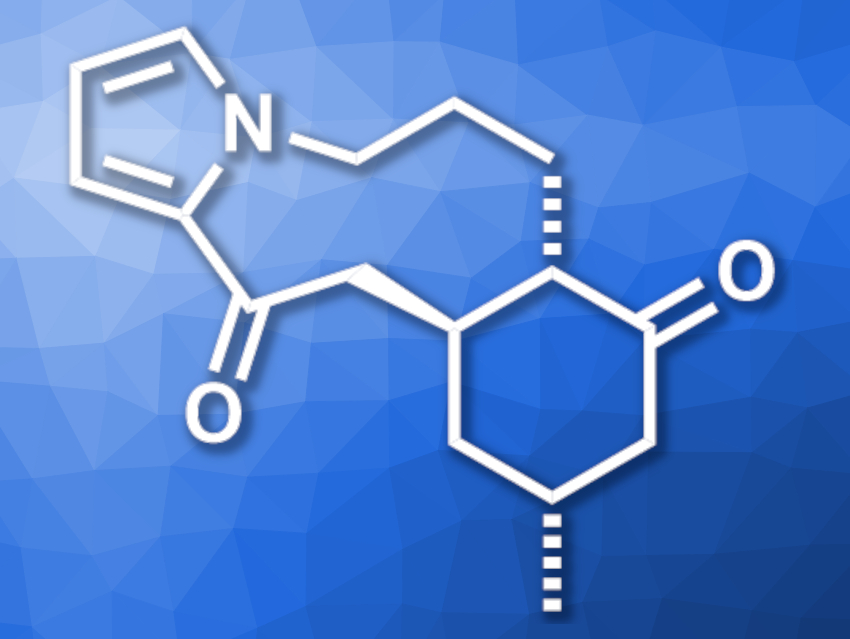 First Asymmetric Total Synthesis of Huperzine H