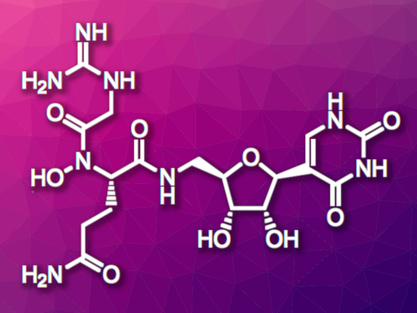 Total Synthesis of Pseudouridimycin