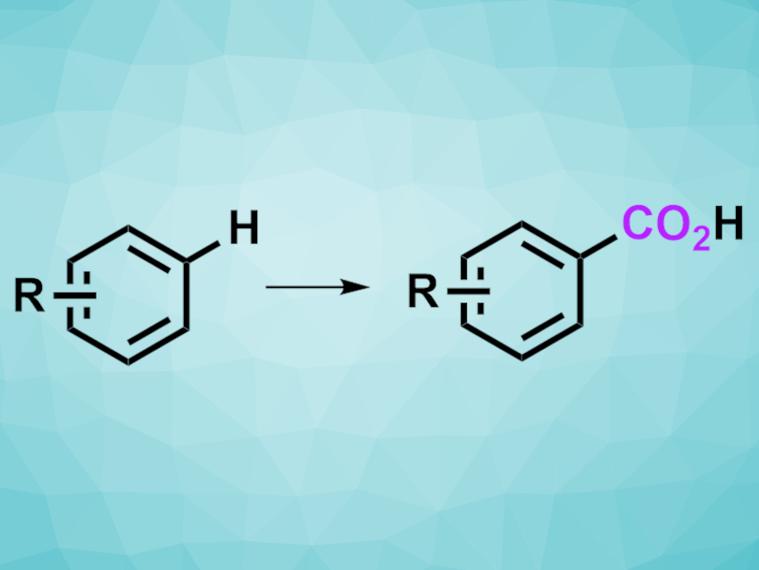 Direct C–H Carboxylation of Aromatic Compounds