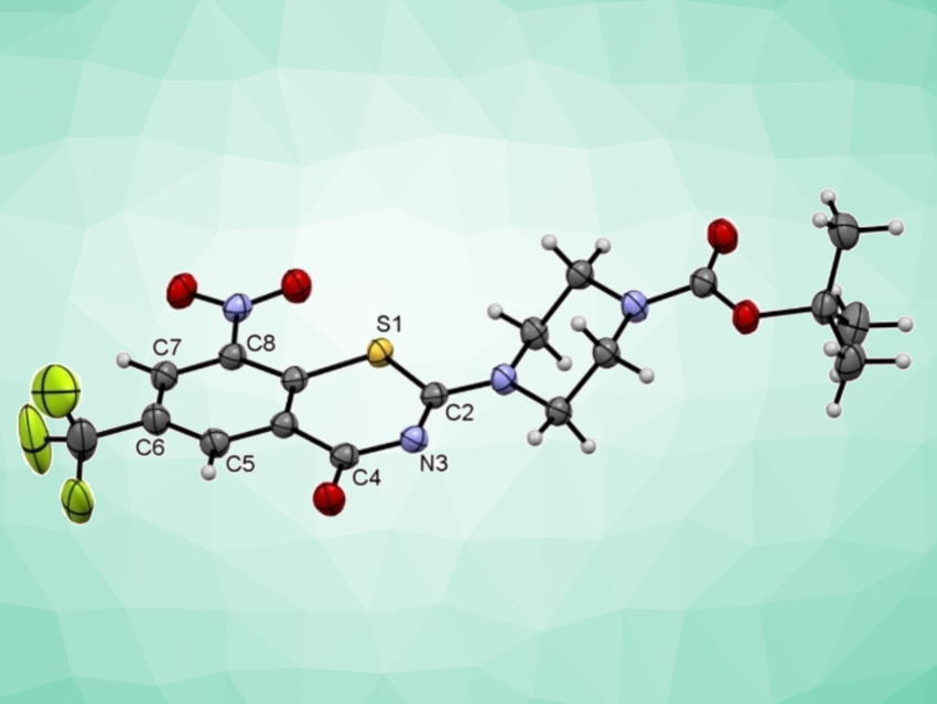 Benzothiazinone Analogues against Tuberculosis