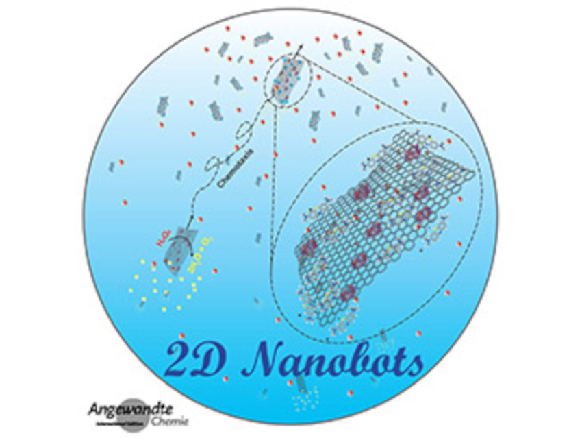 Angewandte Chemie 7/2022: Renewable Resources