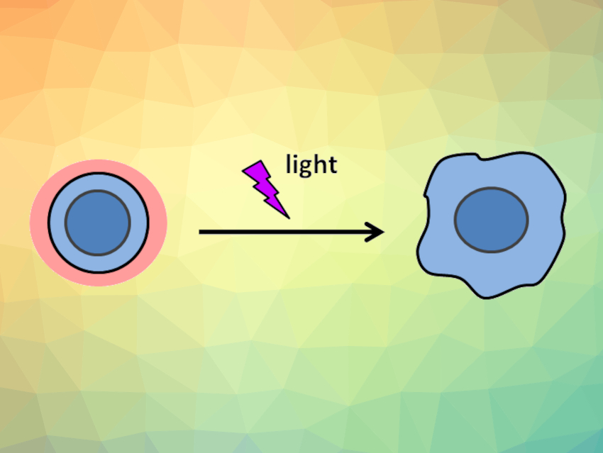 Photoactivatable Living Cells