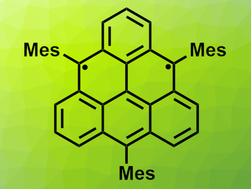 Persistent Derivative of Triangulene Synthesized