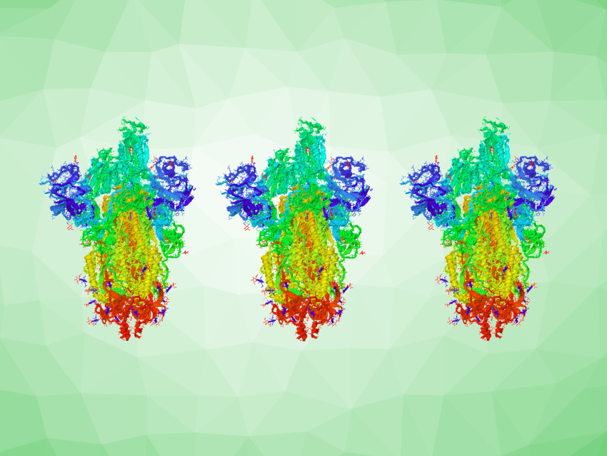 Three Exposures to SARS-CoV-2 Spike Protein Provide Broad Immunity