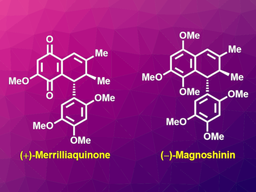 Total Synthesis of (−)-Magnoshinin and (+)-Merrilliaquinone