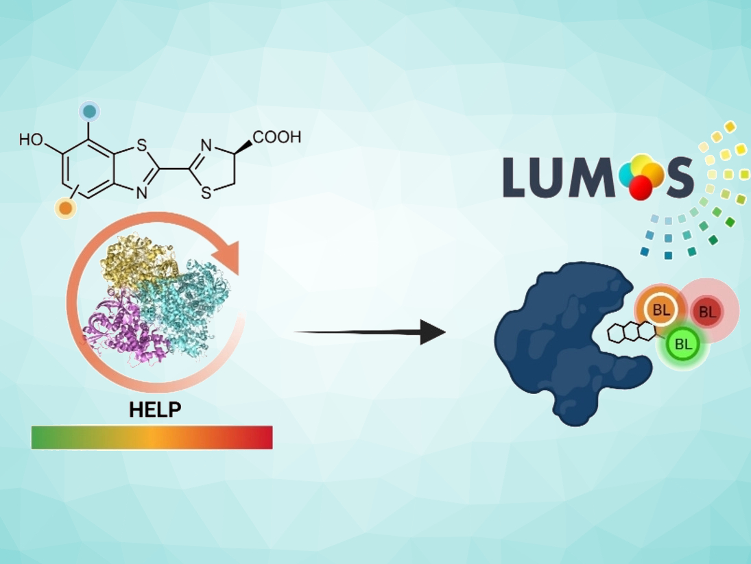 Firefly Luminescence Reveals Pesticides