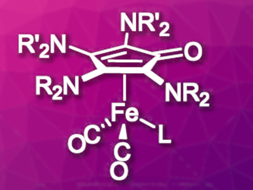 Iron-Catalyzed Hydrogenations of Ketones, Aldehydes, and Imines