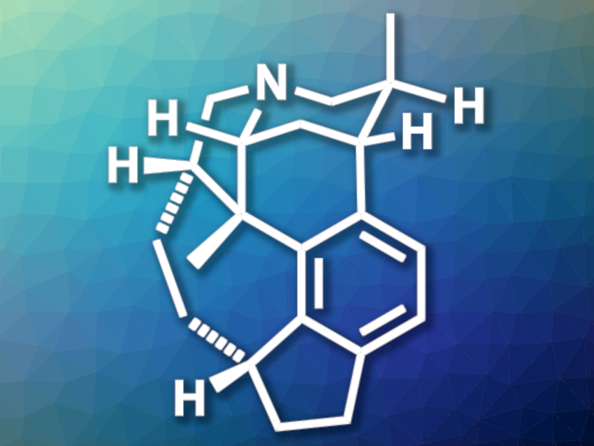 Concise Total Synthesis of Daphenylline