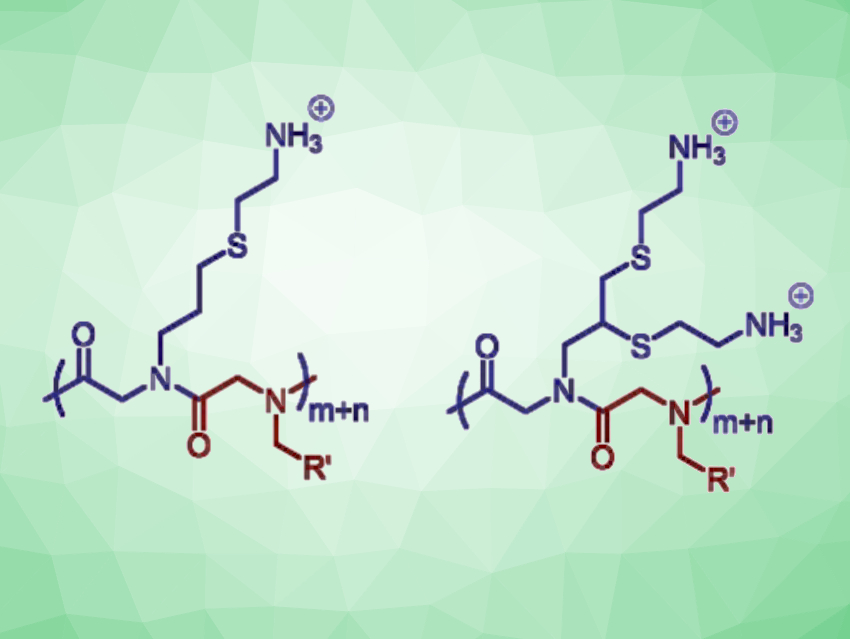 Antibacterial Copolypeptoids Fight Drug-Resistant Bacteria and Biofilms