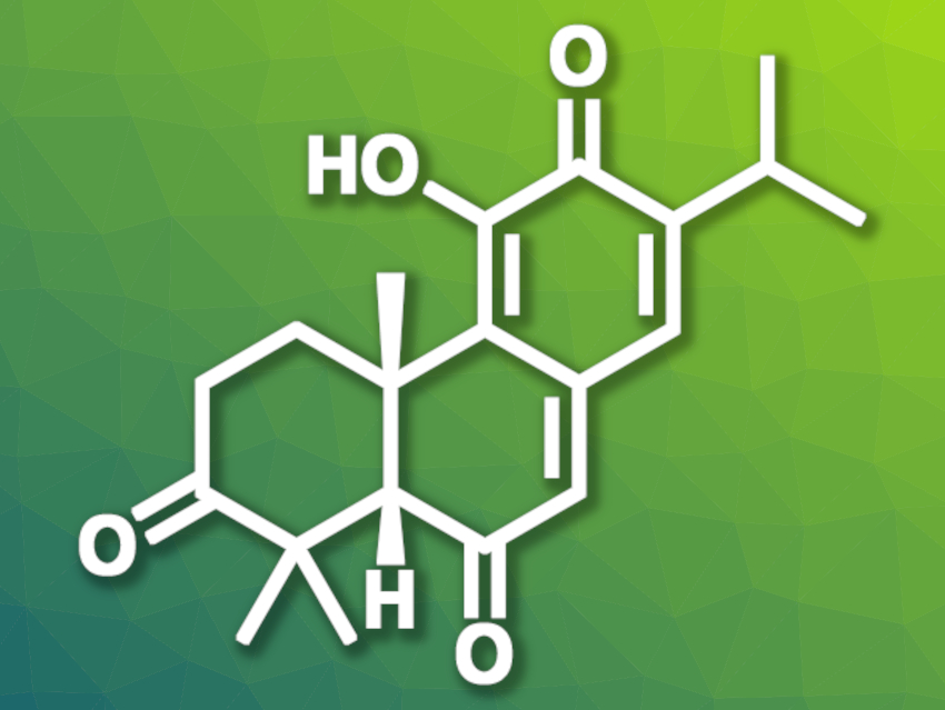 First Total Synthesis of (−)-3-Oxoisotaxodione