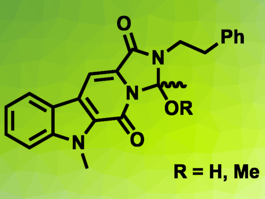 Cyanogramides B and C Synthesized