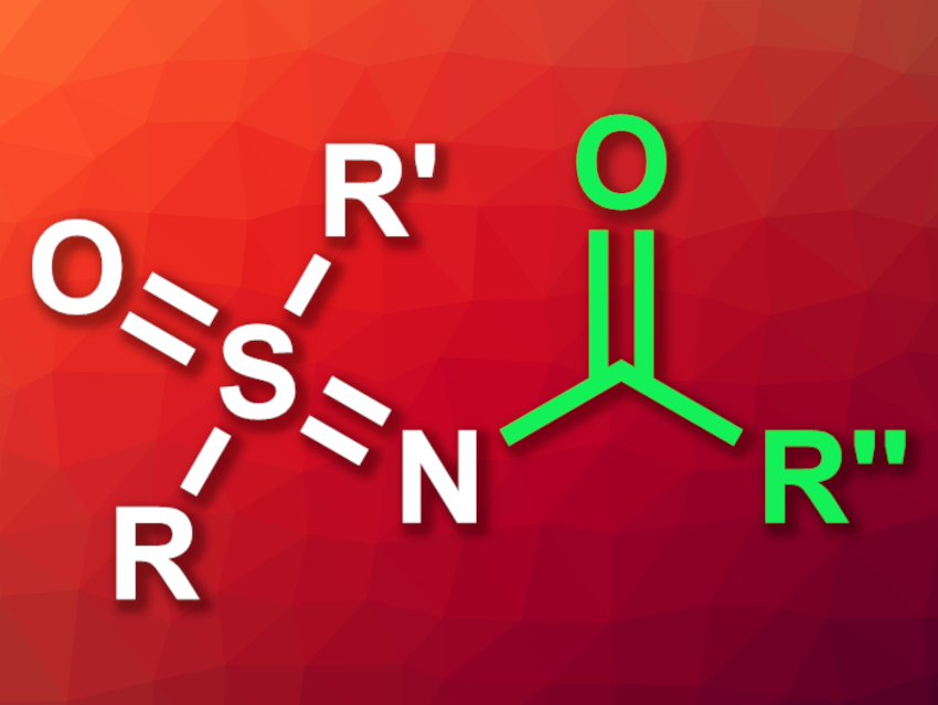 Light-Promoted N-Acylation of Sulfoximines