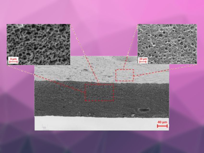 Lignin-Based Potassium Batteries