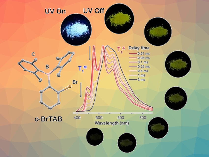 Dual Phosphorescence of Triarylboranes